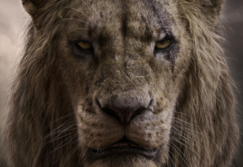 lion-king-20199531
