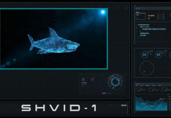 virus-shark-20201206