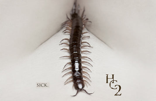 The Human Centipede Part 2