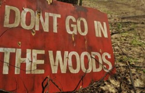 Трейлър на музикалния хорър „Don’t Go in the Woods“