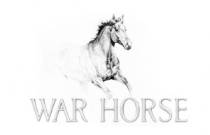 Боен кон / War Horse