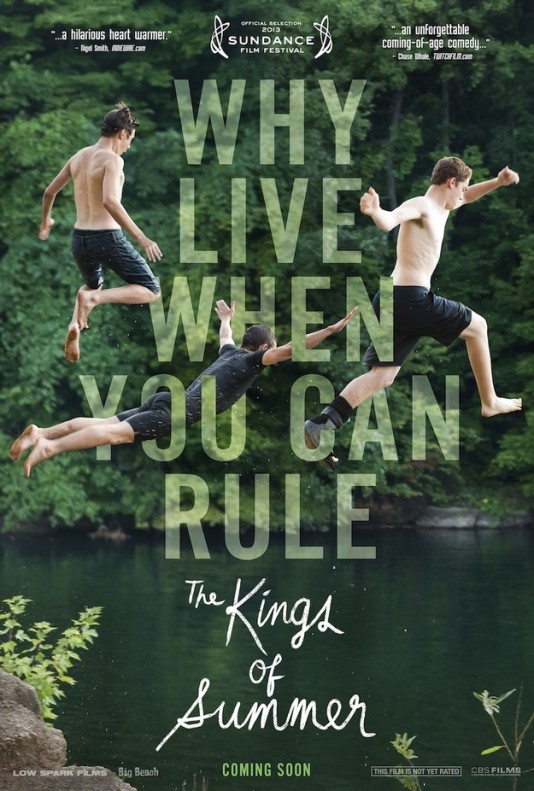 The Kings Of Summer - плакат