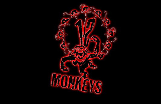 12 маймуни