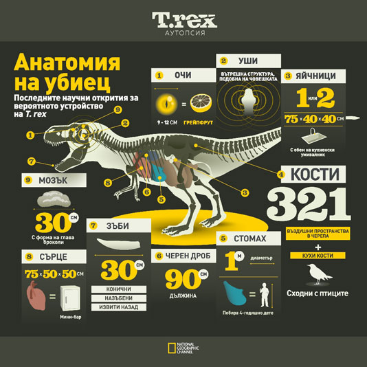 T-Rex аутопсия