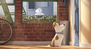 Забавен тийзър трейлър и плакати от анимацията „The Secret Life of Pets”