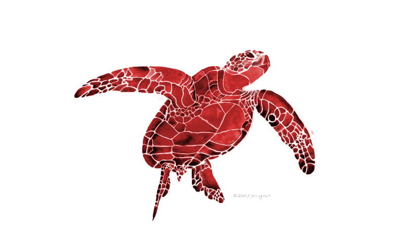 Червената костенурка ревю
