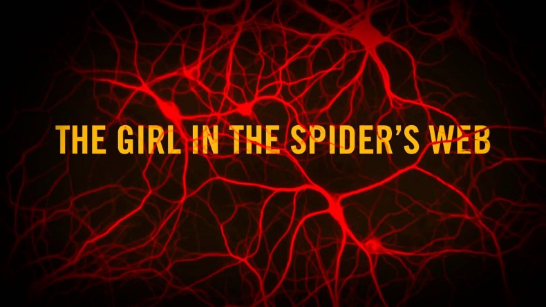 the-girl-in-the-spiders-web-20180821