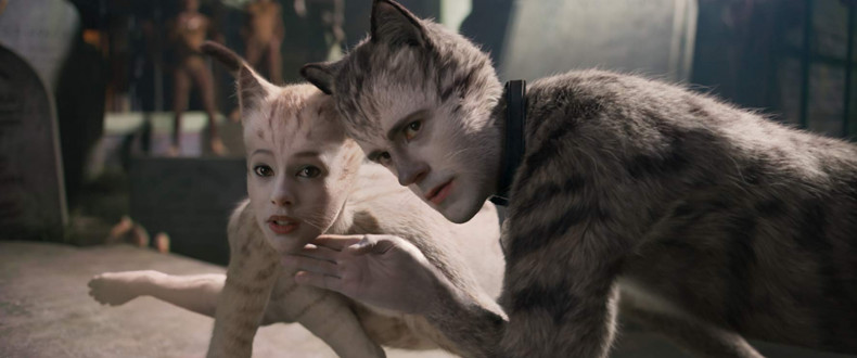 cats-review-img02_20191229
