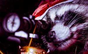 WTF трейлър на седмицата: Те се завръщат в „Killer Raccoons! 2! Dark Christmas in the Dark“