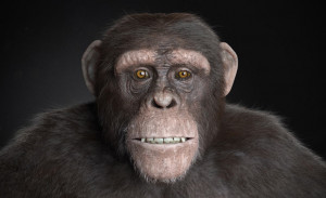 CG маймуна ще играе Роби Уилямс в биографичния „Better Man“ на Майкъл Грейси