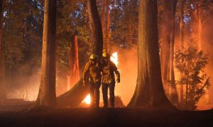 „Огнена страна“ на Макс Териот дебютира от днес по Fox